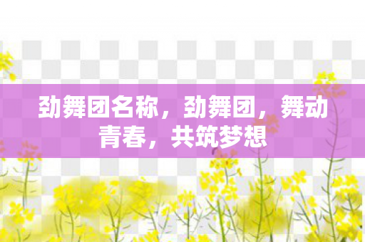 劲舞团名称，劲舞团，舞动青春，共筑梦想