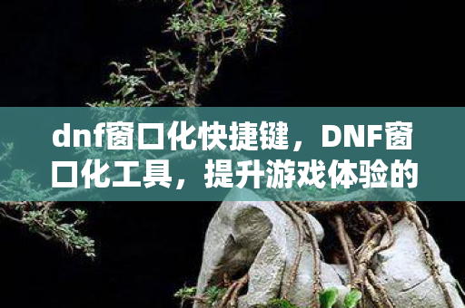dnf窗口化快捷键，DNF窗口化工具，提升游戏体验的实用工具