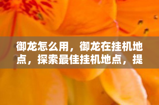 御龙怎么用，御龙在挂机地点，探索最佳挂机地点，提升游戏效率