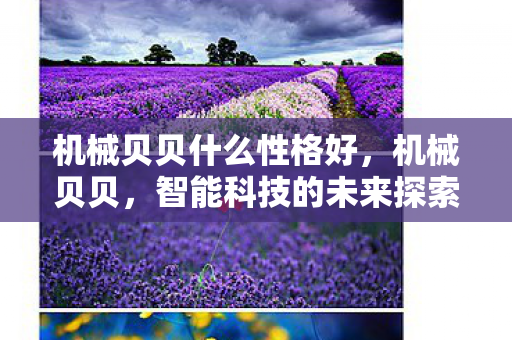 机械贝贝什么性格好，机械贝贝，智能科技的未来探索者