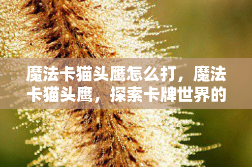 魔法卡猫头鹰怎么打，魔法卡猫头鹰，探索卡牌世界的奇妙之旅