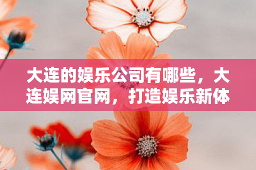 大连的娱乐公司有哪些，大连娱网官网，打造娱乐新体验，引领数字娱乐新风尚