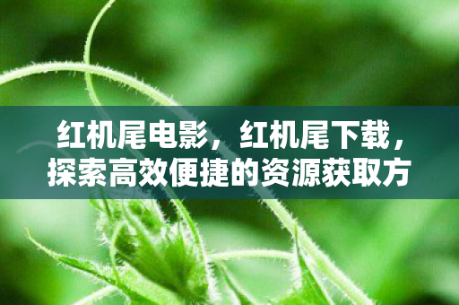 红机尾电影，红机尾下载，探索高效便捷的资源获取方式