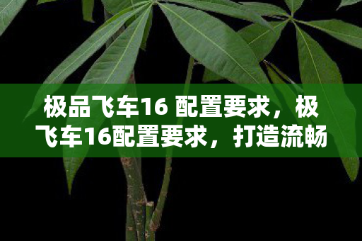 极品飞车16 配置要求，极飞车16配置要求，打造流畅游戏体验的硬件指南