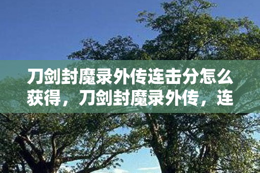 刀剑封魔录外传连击分怎么获得，刀剑封魔录外传，连击的艺术