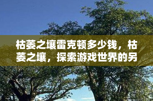 枯萎之壤雷克顿多少钱，枯萎之壤，探索游戏世界的另一面