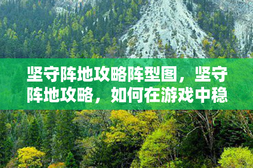 坚守阵地攻略阵型图，坚守阵地攻略，如何在游戏中稳固防线，提升战斗力