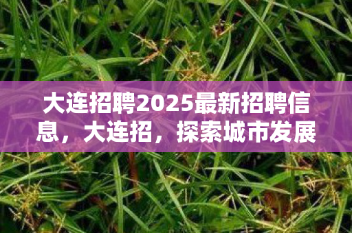 大连招聘2025最新招聘信息，大连招，探索城市发展的新机遇