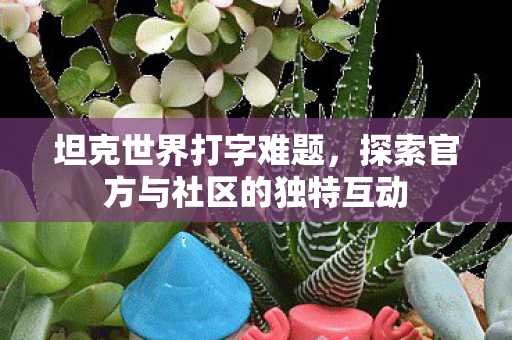坦克世界打字难题，探索官方与社区的独特互动