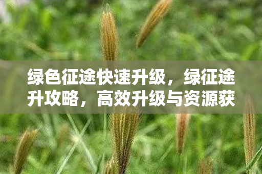 绿色征途快速升级，绿征途升攻略，高效升级与资源获取指南