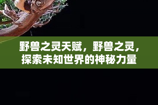 野兽之灵天赋，野兽之灵，探索未知世界的神秘力量