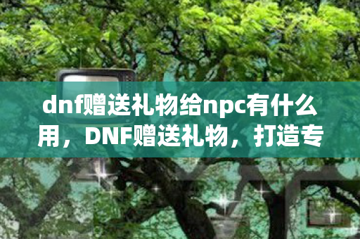 dnf赠送礼物给npc有什么用，DNF赠送礼物，打造专属心意，传递无限情谊