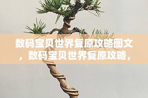数码宝贝世界复原攻略图文，数码宝贝世界复原攻略，重返经典，重温童年