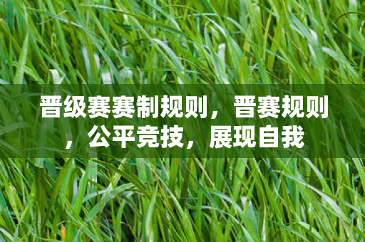 晋级赛赛制规则，晋赛规则，公平竞技，展现自我