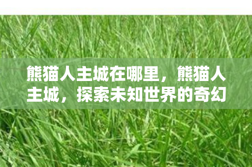 熊猫人主城在哪里，熊猫人主城，探索未知世界的奇幻之旅