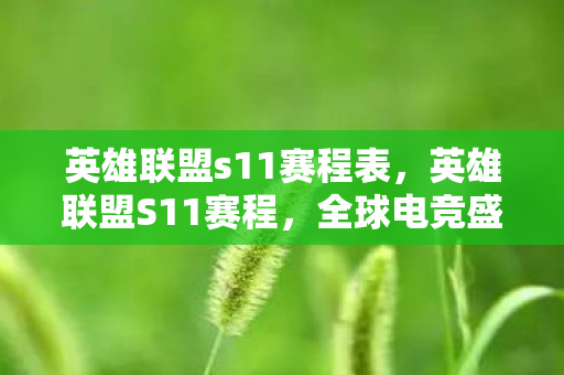 英雄联盟s11赛程表，英雄联盟S11赛程，全球电竞盛宴的期待与回顾