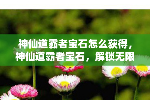 神仙道霸者宝石怎么获得，神仙道霸者宝石，解锁无限可能的神秘宝石