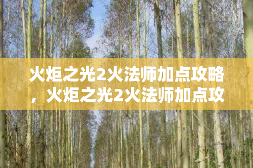 火炬之光2火法师加点攻略，火炬之光2火法师加点攻略，打造高效输出的火焰法师