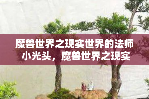 魔兽世界之现实世界的法师 小光头，魔兽世界之现实世界的法师