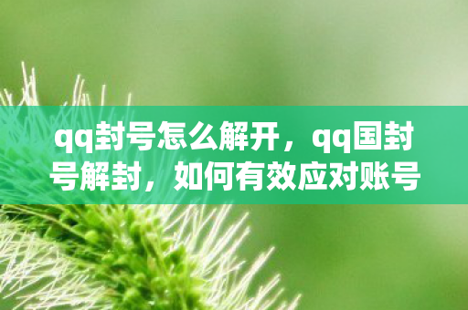 qq封号怎么解开，qq国封号解封，如何有效应对账号封禁问题
