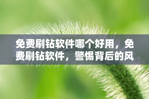 免费刷钻软件哪个好用，免费刷钻软件，警惕背后的风险与陷阱