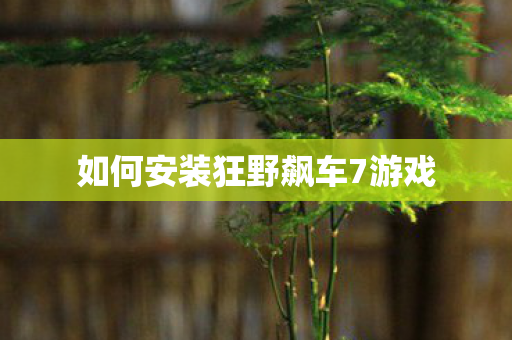 如何安装狂野飙车7游戏 如何安装狂野飙车7游戏