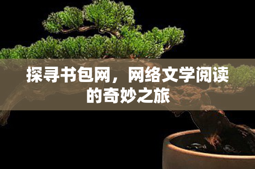 探寻书包网，网络文学阅读的奇妙之旅