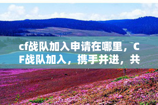 cf战队加入申请在哪里，CF战队加入，携手并进，共筑荣耀