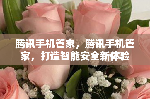 腾讯手机管家，腾讯手机管家，打造智能安全新体验