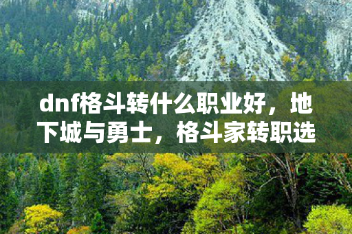 dnf格斗转什么职业好，地下城与勇士，格斗家转职选择指南
