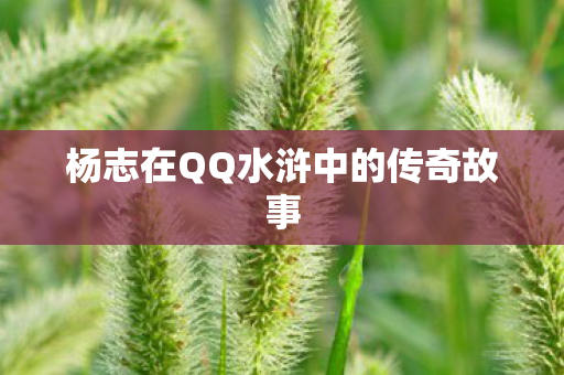 杨志在QQ水浒中的传奇故事