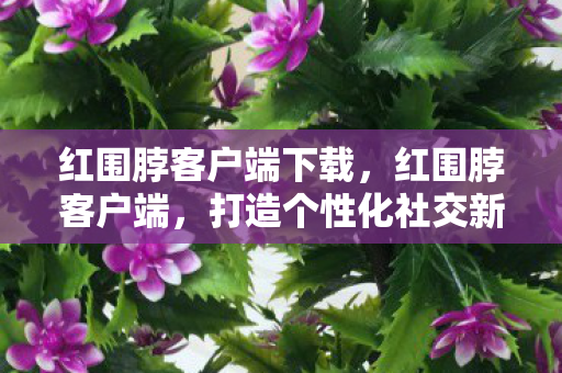 红围脖客户端下载，红围脖客户端，打造个性化社交新体验