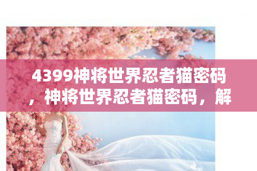 4399神将世界忍者猫密码，神将世界忍者猫密码，解锁神秘世界的钥匙