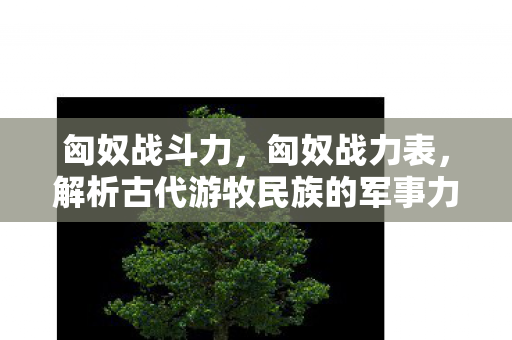 匈奴战斗力，匈奴战力表，解析古代游牧民族的军事力量