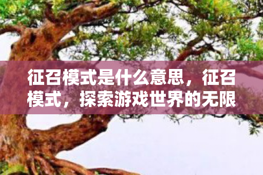 征召模式是什么意思，征召模式，探索游戏世界的无限可能