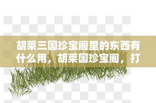 胡莱三国珍宝阁里的东西有什么用，胡莱国珍宝阁，打造你的专属宝藏
