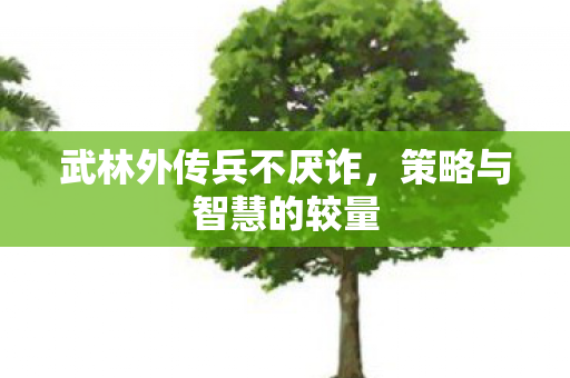 武林外传兵不厌诈，策略与智慧的较量