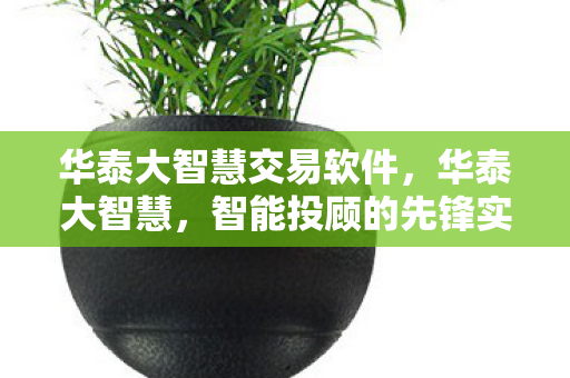 华泰大智慧交易软件，华泰大智慧，智能投顾的先锋实践