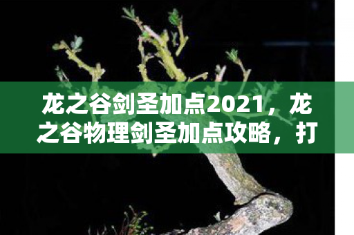 龙之谷剑圣加点2021，龙之谷物理剑圣加点攻略，打造最强剑术大师