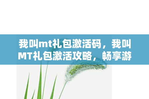我叫mt礼包激活码，我叫MT礼包激活攻略，畅享游戏福利，解锁专属特权！