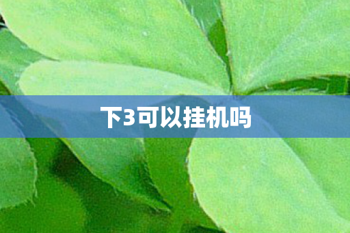 下3可以挂机吗