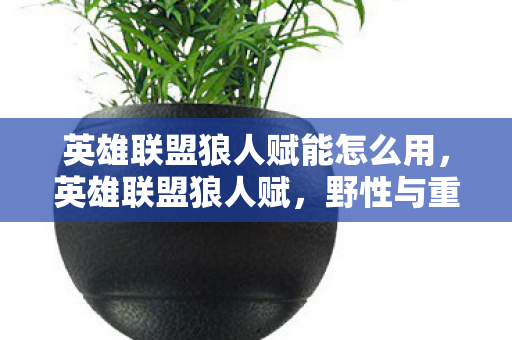 英雄联盟狼人赋能怎么用，英雄联盟狼人赋，野性与重生的传奇