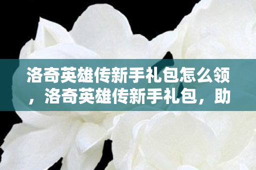 洛奇英雄传新手礼包怎么领，洛奇英雄传新手礼包，助你启程的强力助力