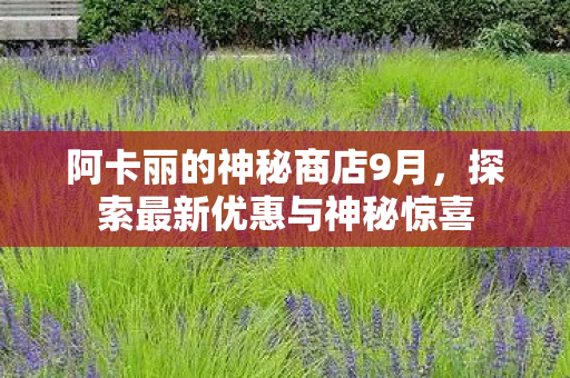 阿卡丽的神秘商店9月，探索最新优惠与神秘惊喜