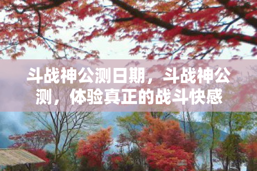 斗战神公测日期，斗战神公测，体验真正的战斗快感
