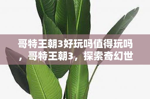 哥特王朝3好玩吗值得玩吗，哥特王朝3，探索奇幻世界的无尽乐趣