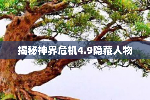 揭秘神界危机4.9隐藏人物