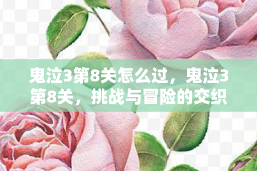 鬼泣3第8关怎么过，鬼泣3第8关，挑战与冒险的交织