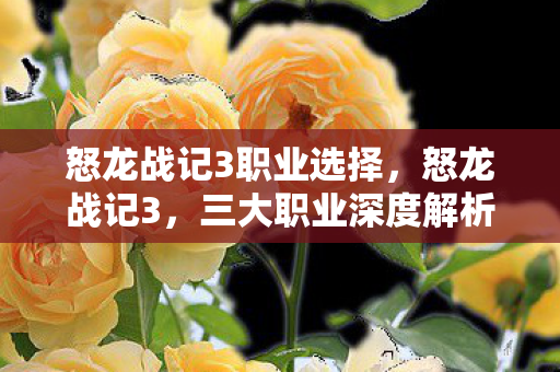 怒龙战记3职业选择，怒龙战记3，三大职业深度解析