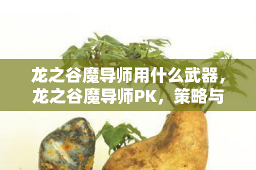 龙之谷魔导师用什么武器，龙之谷魔导师PK，策略与技巧的深度剖析